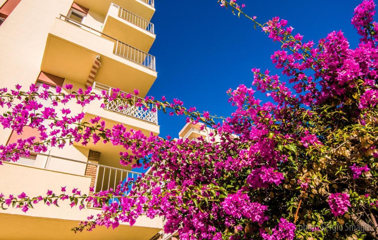 427 Estudio En Minerva Apartamentos -Vista Al Jardin - Piscina Y Playa 贝纳尔马德纳 外观 照片