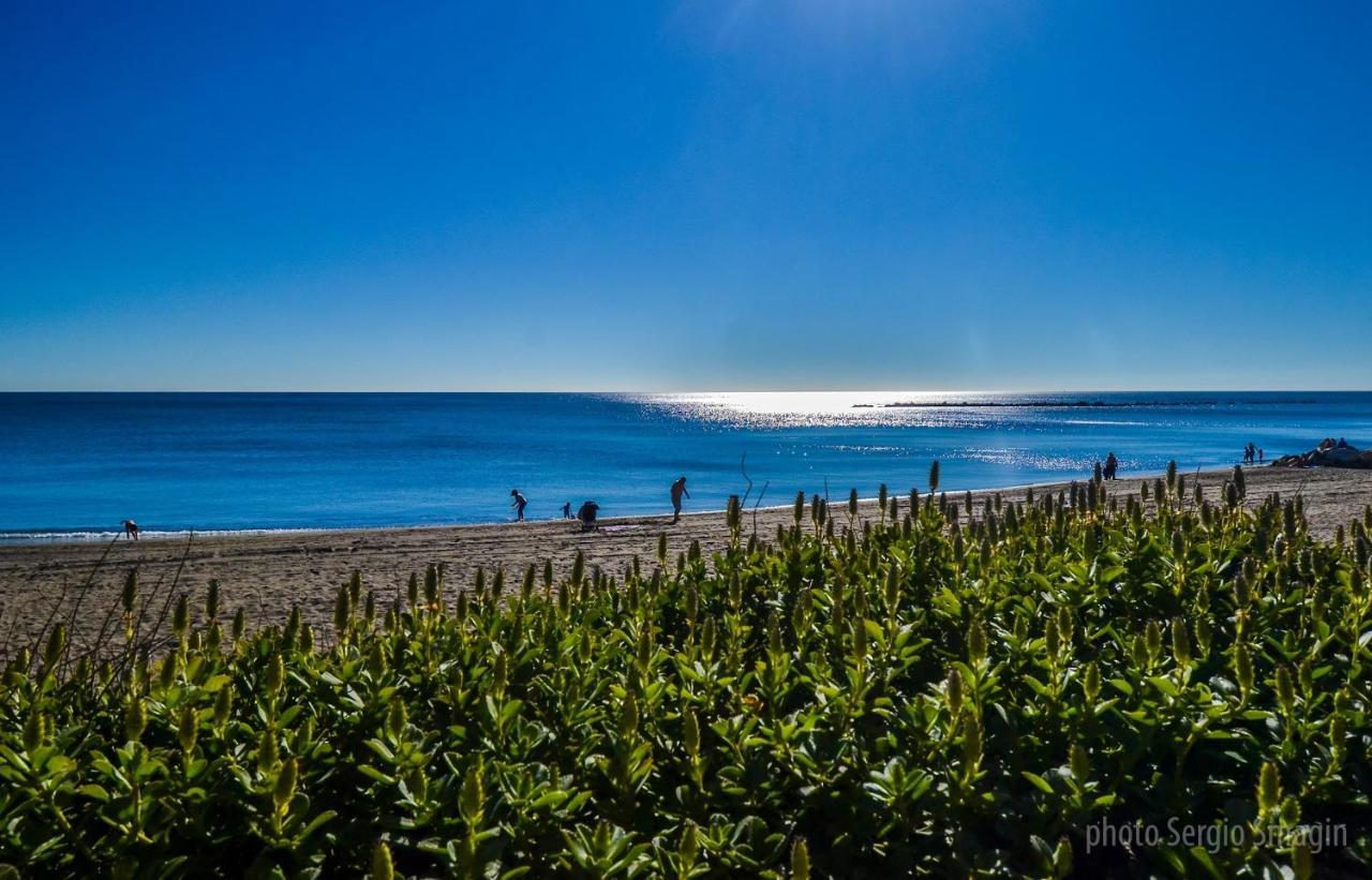 427 Estudio En Minerva Apartamentos -Vista Al Jardin - Piscina Y Playa 贝纳尔马德纳 外观 照片